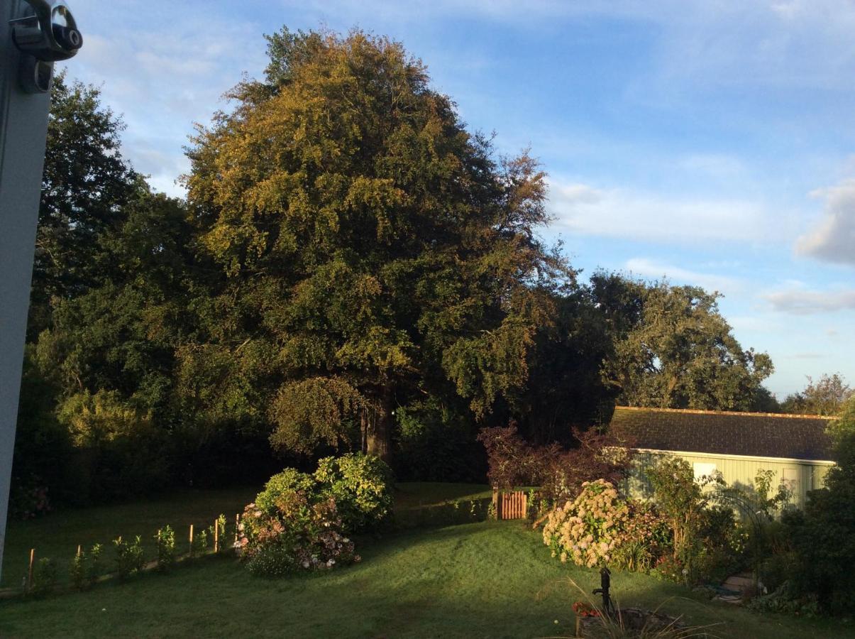 Beech Hut - A Streamside Family Escape Near Salcombe And Beaches South Milton 外观 照片